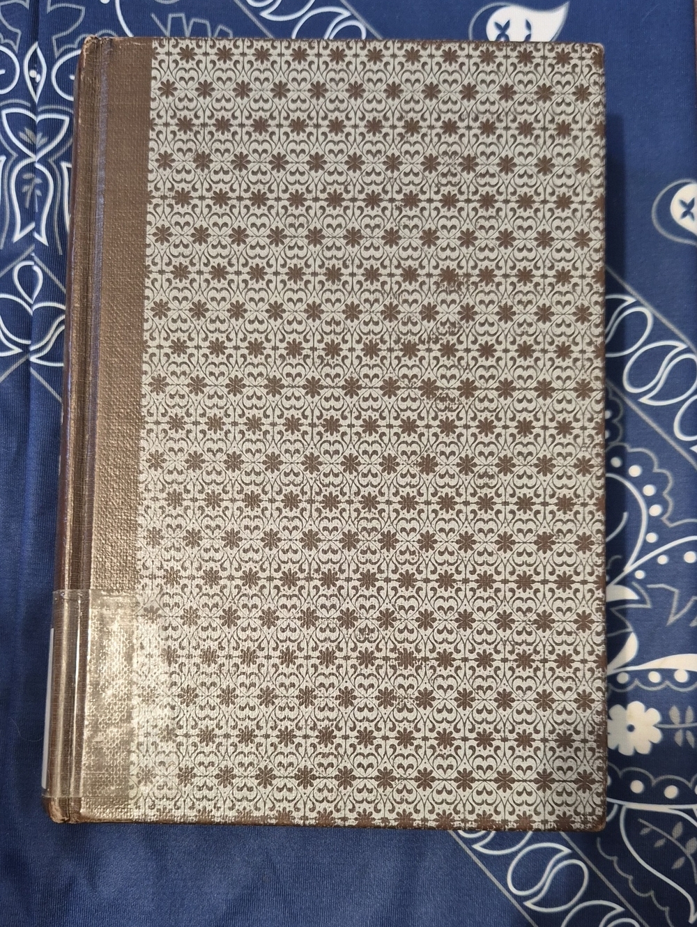 A Girl Of The Limberlost